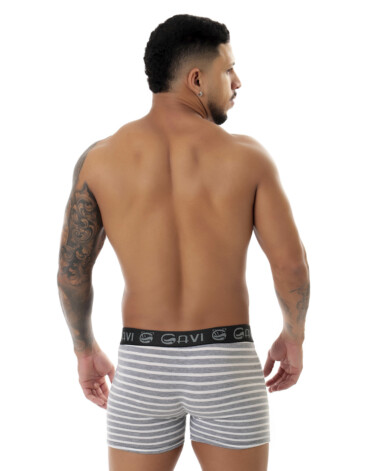 Cueca Boxer Hamilton