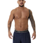 Samba Canção – Gerson
