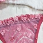 Conjunto Sexy sem Bojo com Tule Desenhado - Larissa