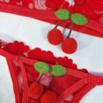 Conjunto Fio Dental de Tule e Renda - Cereja